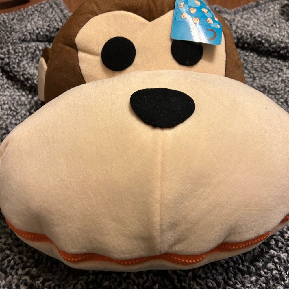 Sleeping bag  and backpack too